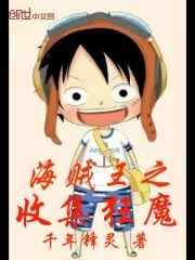 《海贼之收集狂魔》小说封面