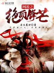 《网游之绝顶锋芒》小说封面
