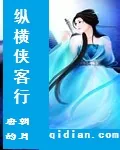 《网游之纵横侠客行》小说封面