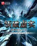 《斩破虚实》小说封面