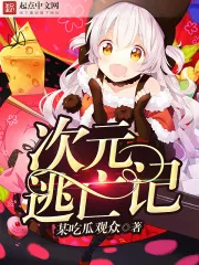 《次元逃亡记》小说封面