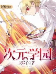 《次元学园》小说封面