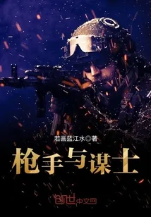 《枪手与谋士》小说封面