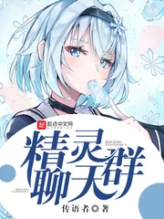 《精灵聊天群》小说封面