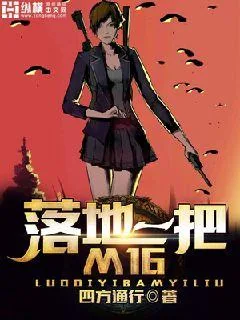 《落地一把M16》小说封面