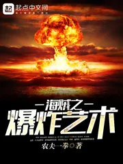 《海贼之爆炸艺术》小说封面