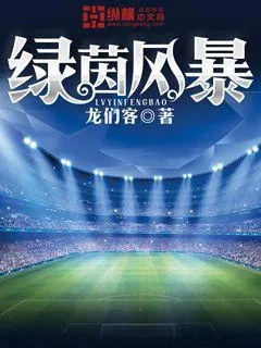 《绿茵风暴》小说封面