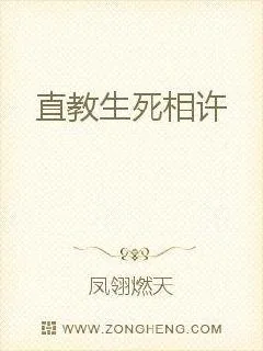 《听说你也转世了》小说封面