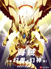 《海贼：不是幻兽，是幻神哒！》小说封面