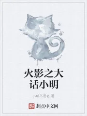 《木叶里的大话小明》小说封面