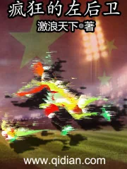 《疯狂的左后卫》小说封面