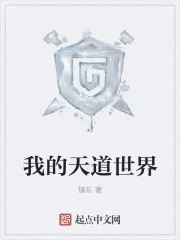 《我的天道世界》小说封面
