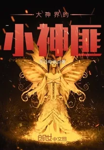 《大神界的小神匪》小说封面