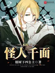 《木叶之怪人千面》小说封面