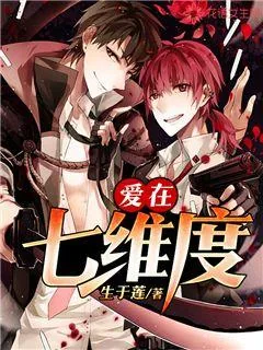 《爱在七维度》小说封面