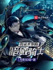 《漫威世界的暗殿骑士》小说封面