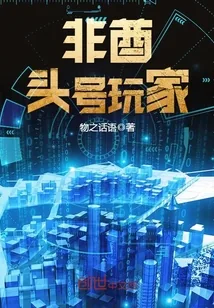 《非酋头号玩家》小说封面