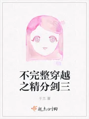 《不完整穿越之精分剑三》小说封面