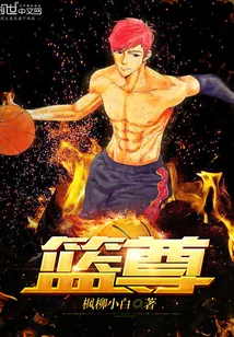 《篮尊》小说封面