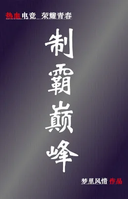 《制霸巅峰》小说封面