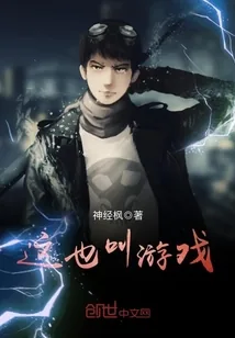 《这也叫游戏》小说封面