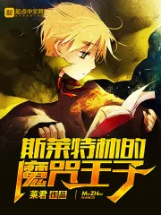 《斯莱特林的魔咒王子》小说封面