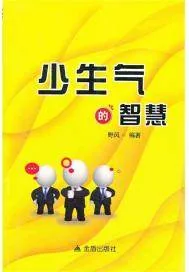 《少生气的智慧》小说封面