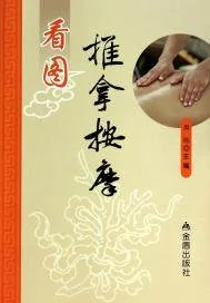 《看图推拿按摩》小说封面