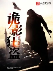 《诡影狂盗》小说封面