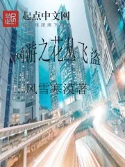 《网游之花丛飞盗》小说封面