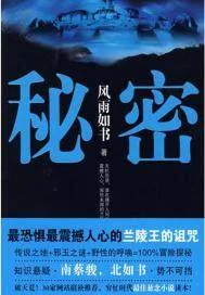 《秘密》小说封面