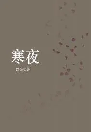 《寒夜》小说封面
