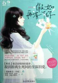 《假如再有一个你》小说封面