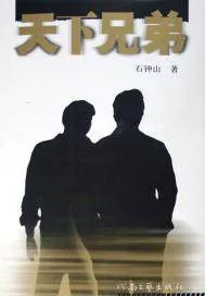 《天下兄弟》小说封面