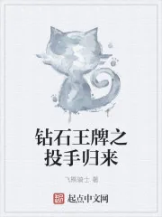 《钻石王牌之投手归来》小说封面