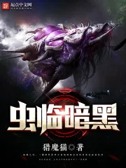 《虫临暗黑》小说封面