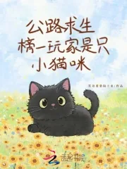 《公路求生，榜一玩家是只小猫咪》小说封面