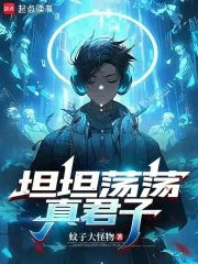 《坦坦荡荡真君子》小说封面