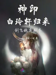 《神印：白玲轩归来，创飞炮灰剧本》小说封面