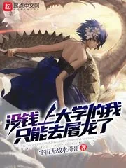 《没钱上大学的我只能去屠龙了》小说封面