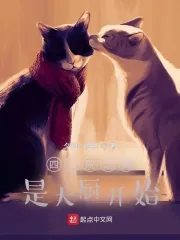 《四合院之我是大厨开始》小说封面