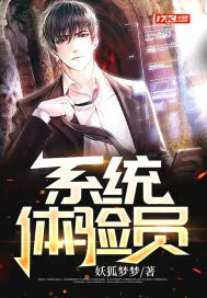 《系统体验员》小说封面
