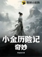 《小金历险记奇妙》小说封面