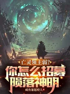 《亡灵领主弱？你怎么招募陨落神明》小说封面
