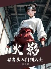 《火影：忍者从入门到入土》小说封面