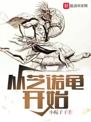 《从芝诺龟开始》小说封面