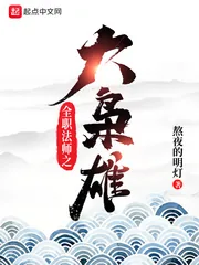 《全职法师之大枭雄》小说封面