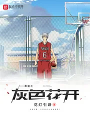 《黑篮之灰色花开》小说封面