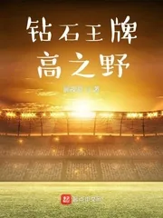 《钻石王牌高之野》小说封面