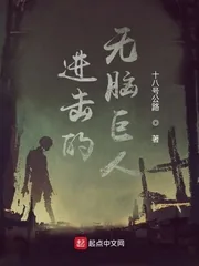 《进击的无脑巨人》小说封面